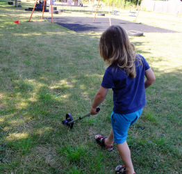 measuring dinosaur lengths