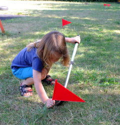 measuring dinosaur lengths