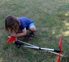 measuring dinosaur lengths