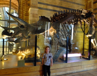 Natural History Museum