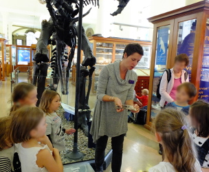 Sedgwick Museum Workshop