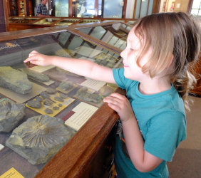 exploring the museum