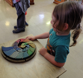 puzzle ammonite