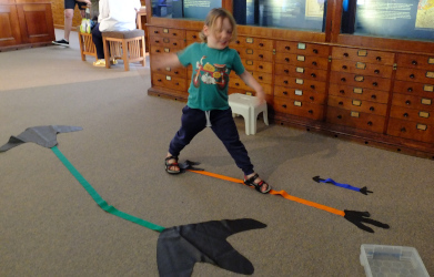 exploring dinosaur stride length