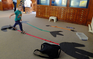 exploring dinosaur stride length