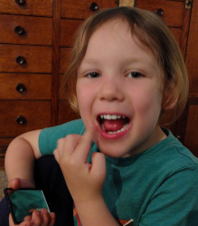 exploring dinosaur teeth