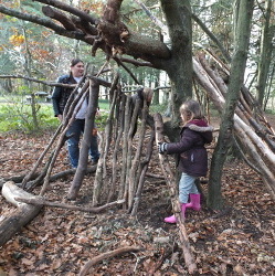 Building Shelter