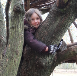 Climbing Tree