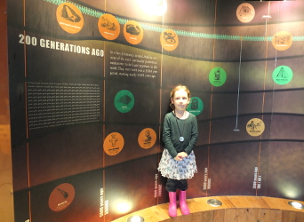 exhibits in the barn gallery