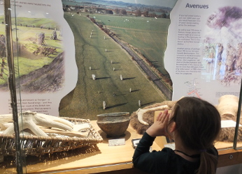 finds in the stables museum