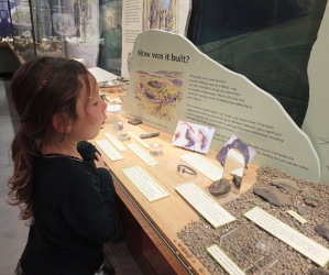 finds in the stables museum