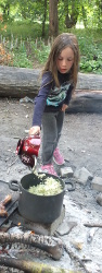 gently cooking elderflowers