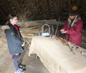 looking at artefacts