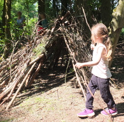 den building