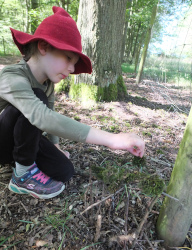 building fairy houses