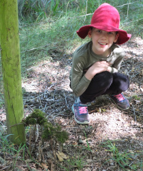 building fairy houses