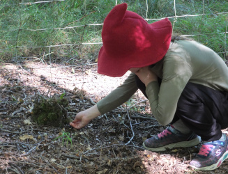 building fairy houses