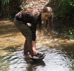 Mesolithic: Boats