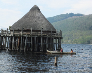 log boat