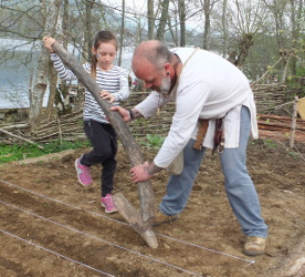 planting poppy seeds