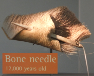 12000 year old bone needle