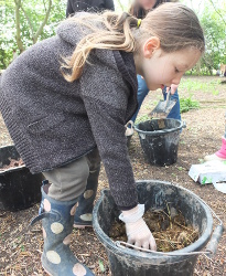 making wattle and daub