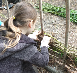 making wattle and daub