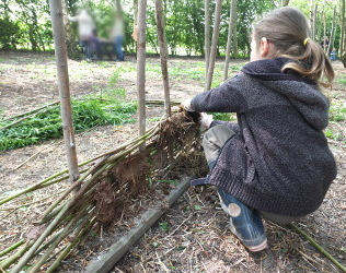 making wattle and daub