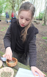 making herbal remedies