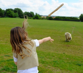 throwing stick