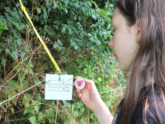 Herding pigs to Durrington Walls