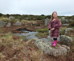 Iron Age Roundhouse Remains