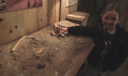 excavation model