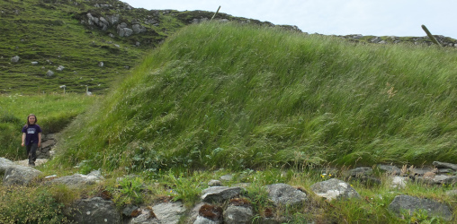 Bosta iron age house