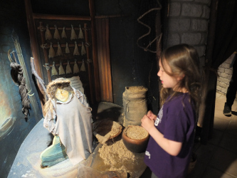 Dun Carloway Broch Museum