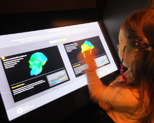 computer analysis of eating from jaw bones