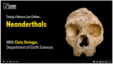 Neanderthals with Chris Stringer