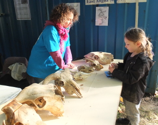 Cambridge Archaeological Unit Prehistory Day