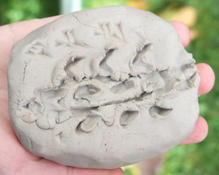 Cuneiform Writing