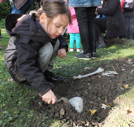 Digging up Skeleton