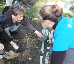 Digging up Skeleton