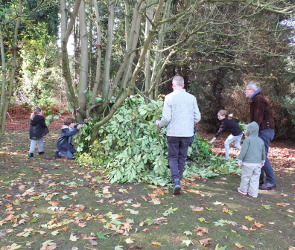 Building a Shelter