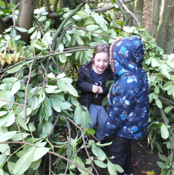 Building a Shelter