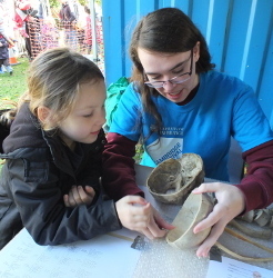 Examining a Skull