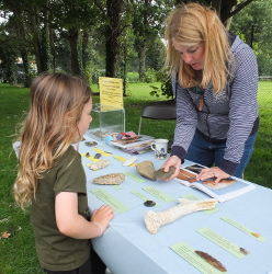 looking at stone tools and ascertaining their age