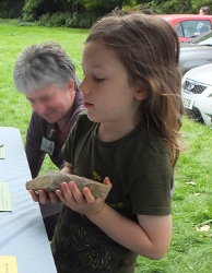 looking at stone tools and ascertaining their age