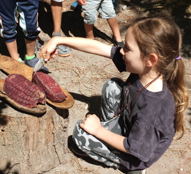 using a stone age tool