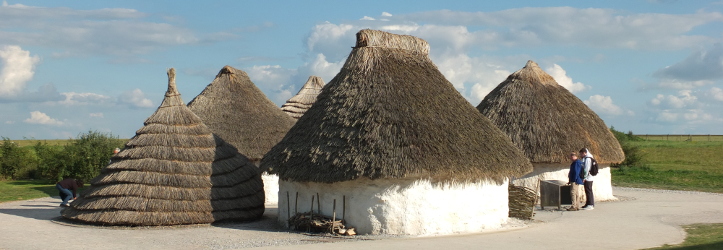 neolithic huts