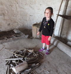 neolithic huts