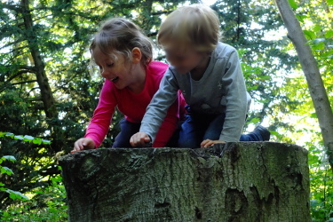 Wandlebury Iron Age Trail